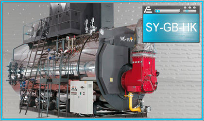 Calderas de vapor: PVR EU