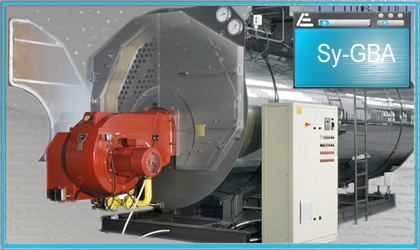 Calderas de vapor: PVR EU