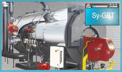 Calderas de vapor: PVR EU